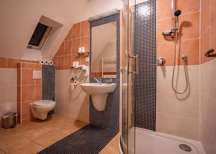 Lomnicky Guest house 3*